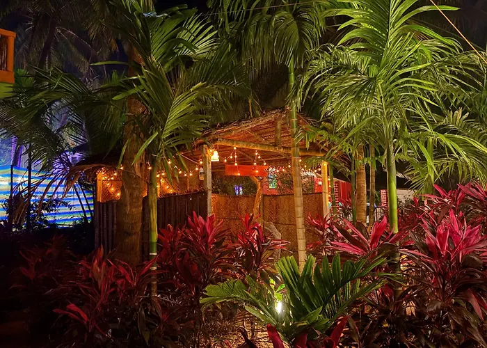 Areca Nest