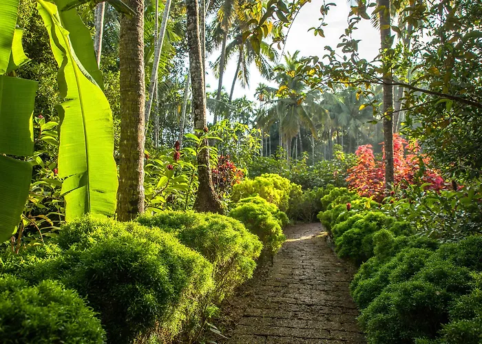 Kahani Paradise